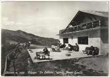 ABETONE - PISTOIA - RIFUGIO "LA SELLETTA" - VIAGG. 1959 -80085-