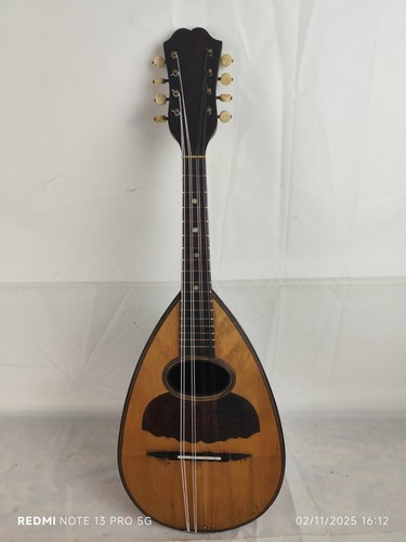 Mandolino gennaro e - mandolino,