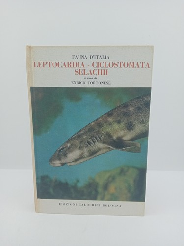 Leptocardia ciclostomata - leptocardia,