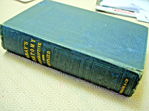 Gray anatomy descriptive and - anatomy,