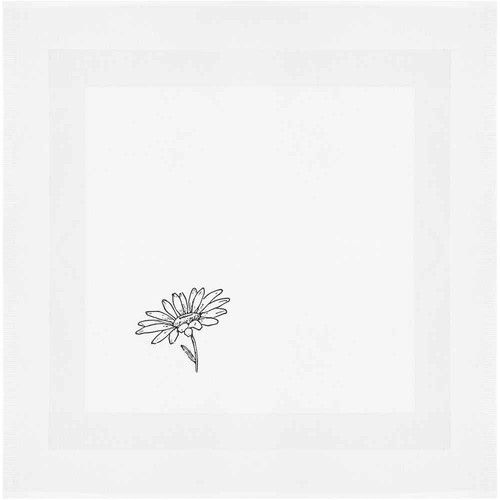 Daisy botanical sketch - 'daisy,