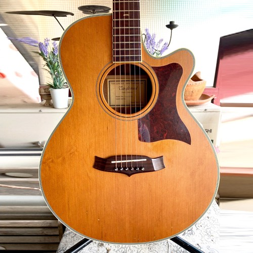 Tanglewood tw45 sundance - sundance, w/