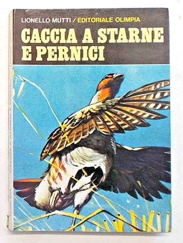 Mutti caccia starne - caccia, a