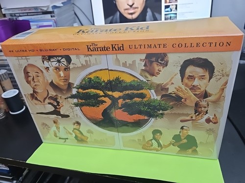 The karate kid - karate,