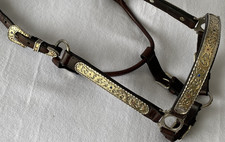 CIRCLE Y Splendido CAVALLO