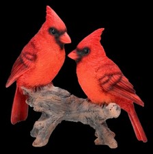 Figura Di Uccello - Cardinali