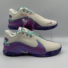 Mens Size 9 Nike Men's LeBron