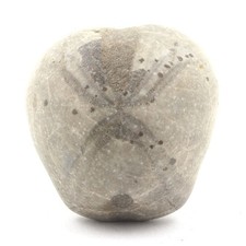 Minerali E Pietre Preziose