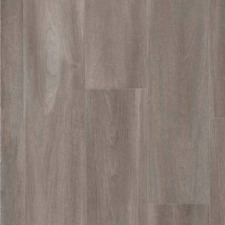 Decoration Senso Clic e Rigid