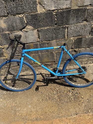 Raleigh assembly mountain bike - mountain,