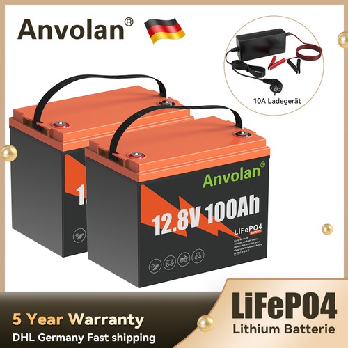 Batteria lifepo4 100ah 12v - lifepo4,