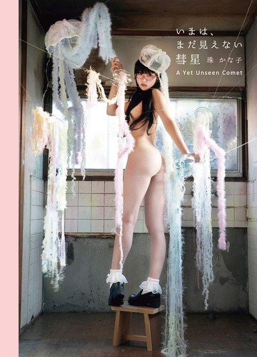 Photo book invisible comet - photo, "invisible
