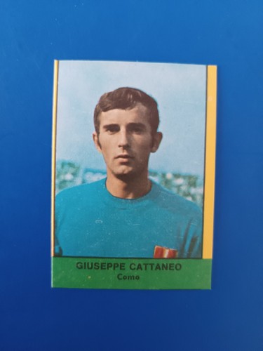 Figurina cattaneo como - figurina,