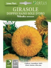 SEMI GIRASOLE NANO SOLE D'ORO