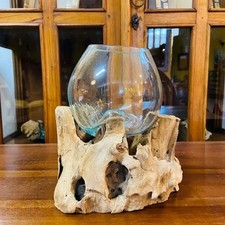 Vaso orchidea vetro radice