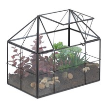 Terrario Piante Mini Serra
