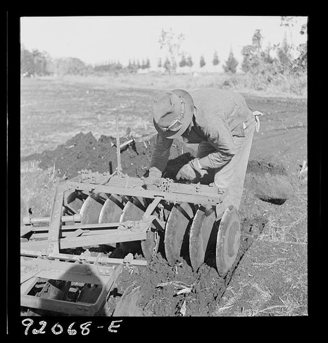 Clewiston florida campi - campi, di