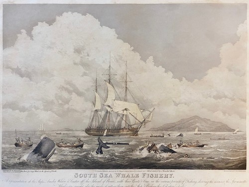 Melville moby dick south - moby, dick,
