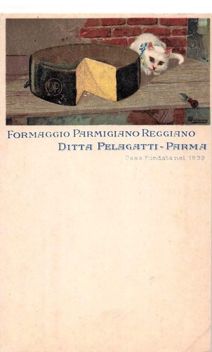 Cartolina primi 900 - cartolina, '900