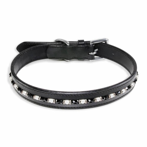 Collare per cani - ,