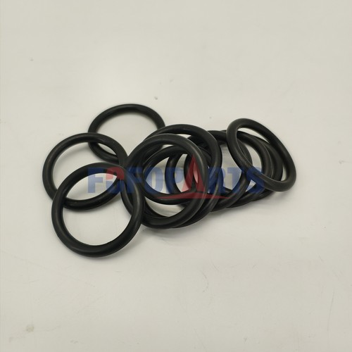 Confezione ring r32195 - o-ring, r32195*10pz