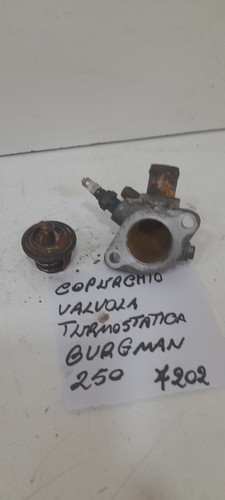 Valvola termostatica coperchio - valvola,