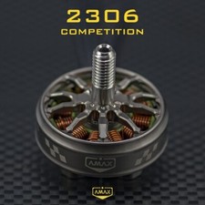 2306 Competizione BL Motor