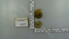 Fhs hermle 261 set - 261-***, di