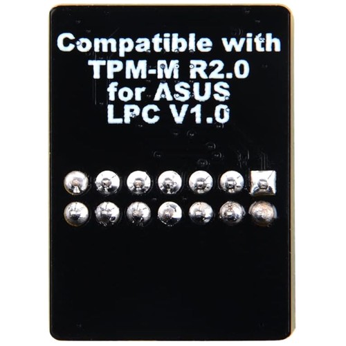 Modulo lpc pin con infineon - 14,