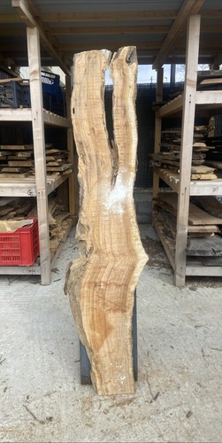 Tavola legno ulivo - di,