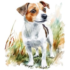 2 adesivi Jack Russell Terrier