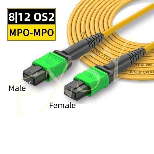 Lotto cavi patch fibra ottica