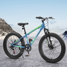 24" Adult/Youth Fat Tire MTB