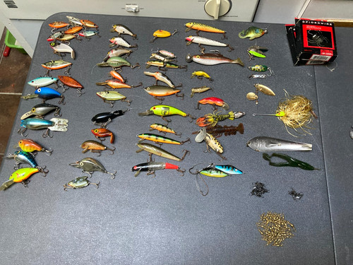 Lotto esche pesca - esche,