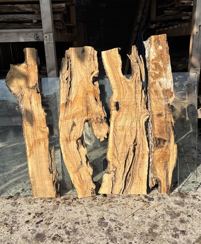 Tavole legno ulivo 4 - di,