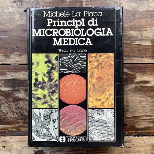Michele placa principi - principi, di