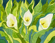 PITTURA ACQUERELLO ORIGINALE