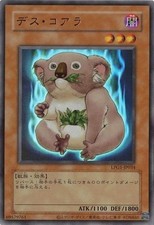 Des Koala CLASSIC-STYLE