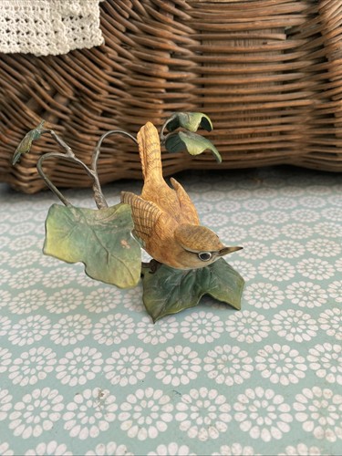 Wren ivy border - ,