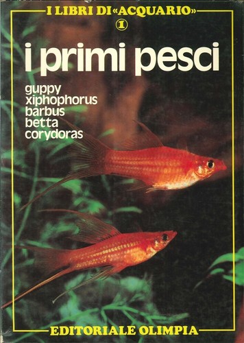 Primi pesci guppy - i,