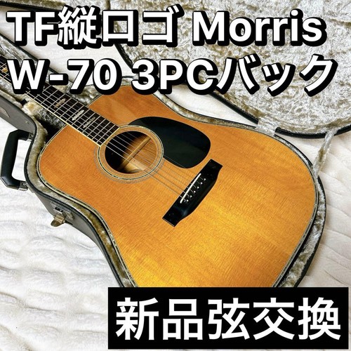 Chitarra acustica morris 70 - acustica,