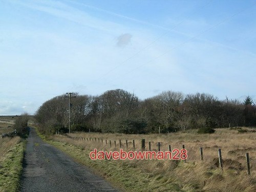 Photo the wood - wood, kilchoman