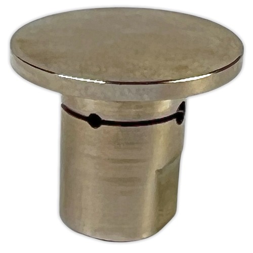 Testa fungo compatibile con - compatibile,