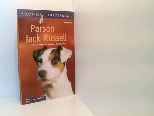 Parson jack russell - parson,