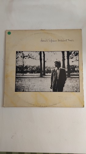 David sylvian brilliant - @david, sylvian"brilliant
