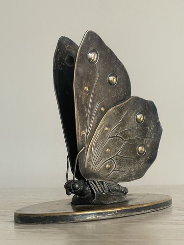 Rare antique butterfly napkin - butterfly,
