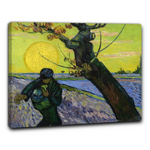 Niik quadro seminatore - niik,