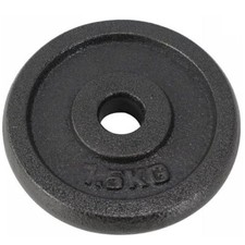 DISCO GHISA NERA PESI PALESTRA