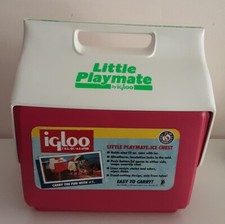 Little Playmate Igloo Houston