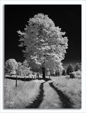 Fotocamera Panasonic DMC-GF2